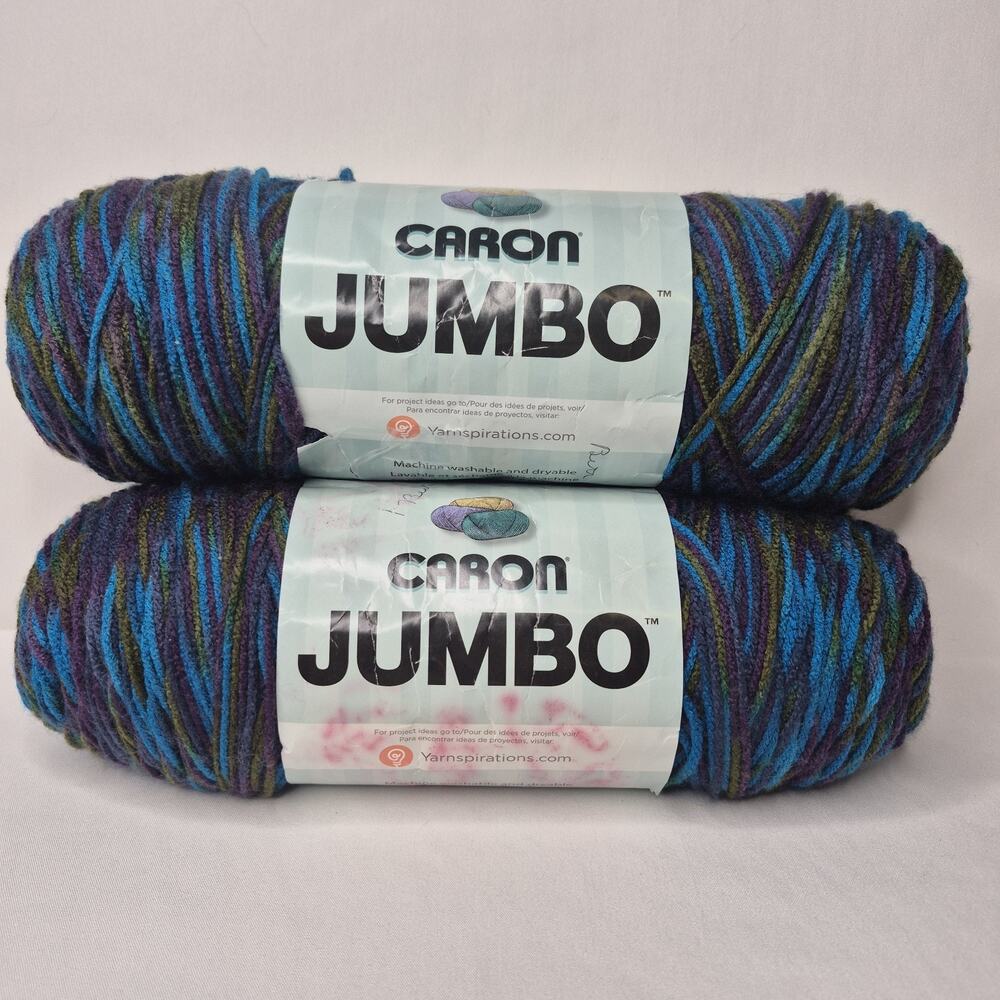 Caron Jumbo Peacock Yarn 100% Acrylic Variegated 12oz 544m Knitting Crochet (2)